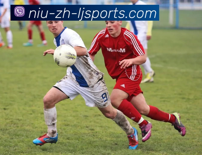 乐竞体育官网平台生态图